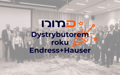 NM-D dystrybutorem roku Endress+Hauser